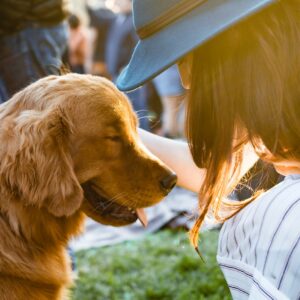 Esterilización