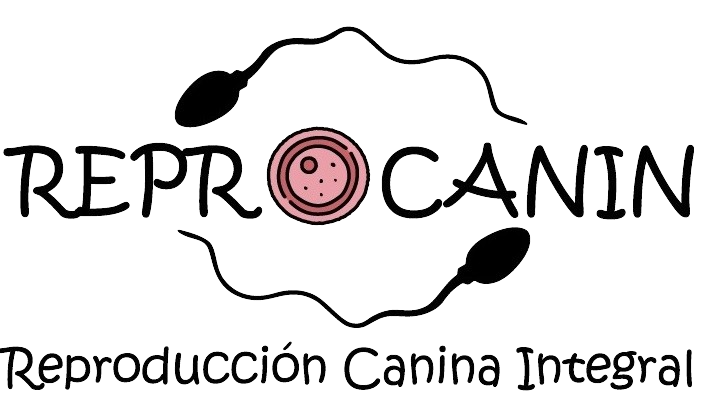 Reproducción canina integral